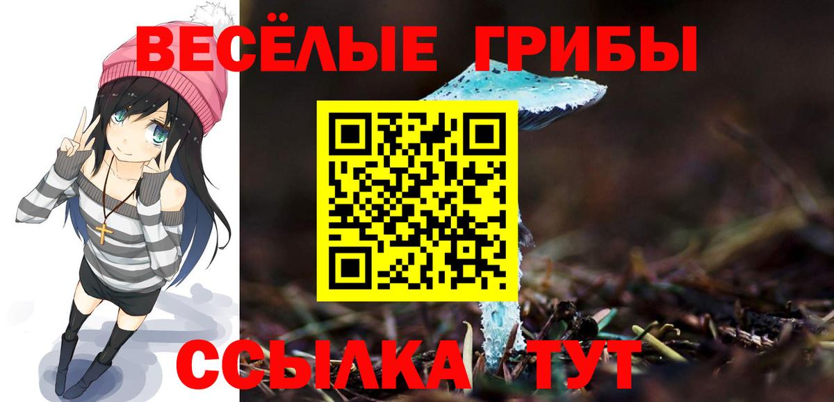 Псилоцибиновые грибы GOLDEN TEACHER  Вход с VPN  Ленинск-Кузнецкий 
