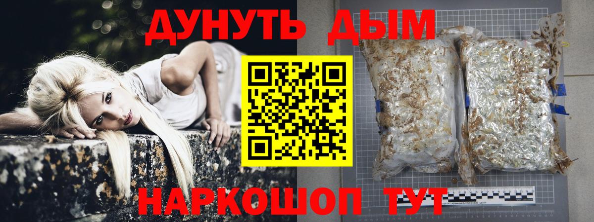 Шишки марихуана семена  Вход с VPN  Бошки марихуана гибрид  Марихуана Amnesia  Ленинск-Кузнецкий 
